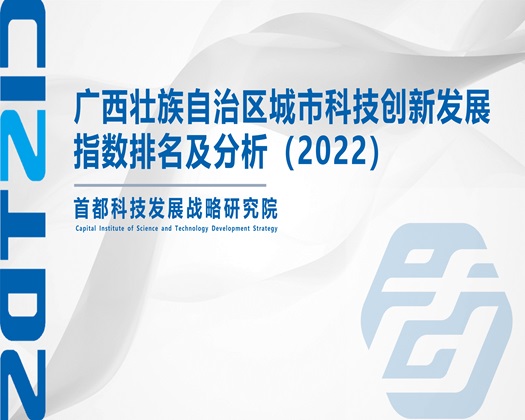 屄日【成果发布】广西壮族自治区城市科技创新发展指数排名及分析（2022）